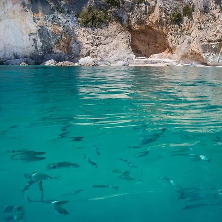 Conghiglia Nord Cala Gonone Exterior foto