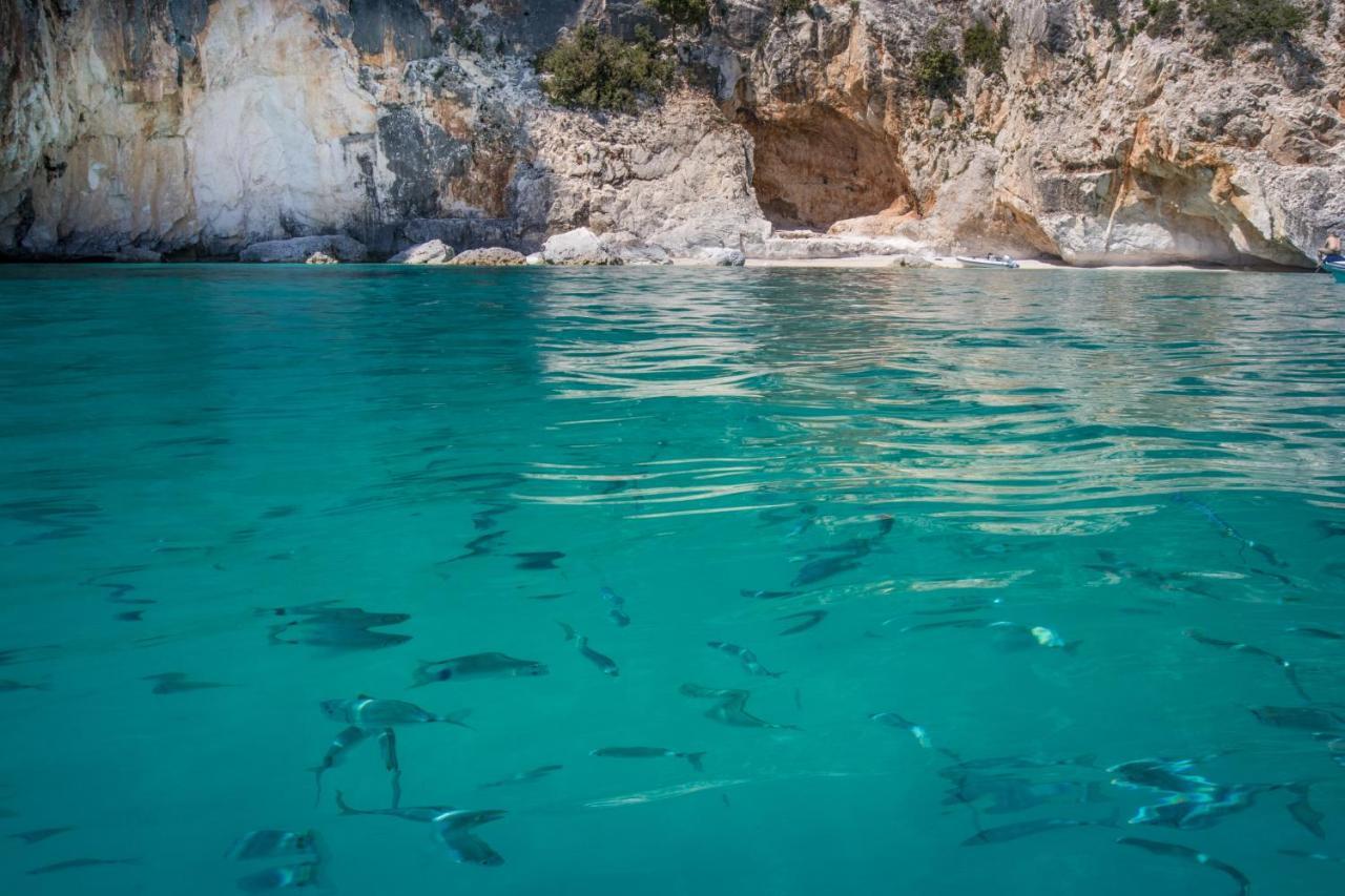 Conghiglia Nord Cala Gonone Exterior foto